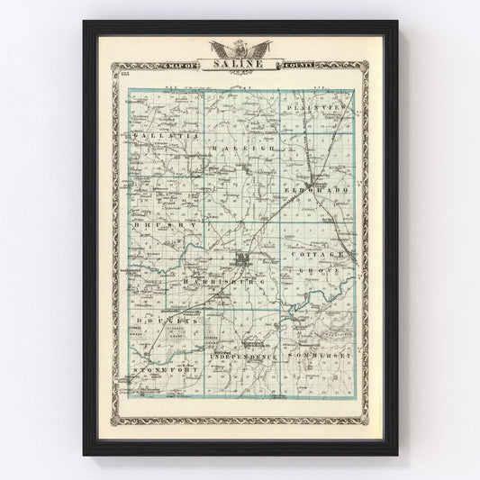 vintage map of Saline County, Illinois, 1876