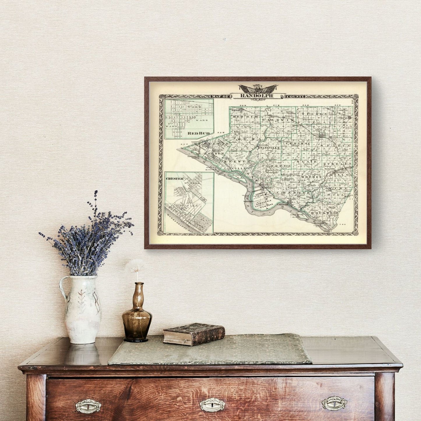 Vintage Map of Randolph County, Illinois, 1876