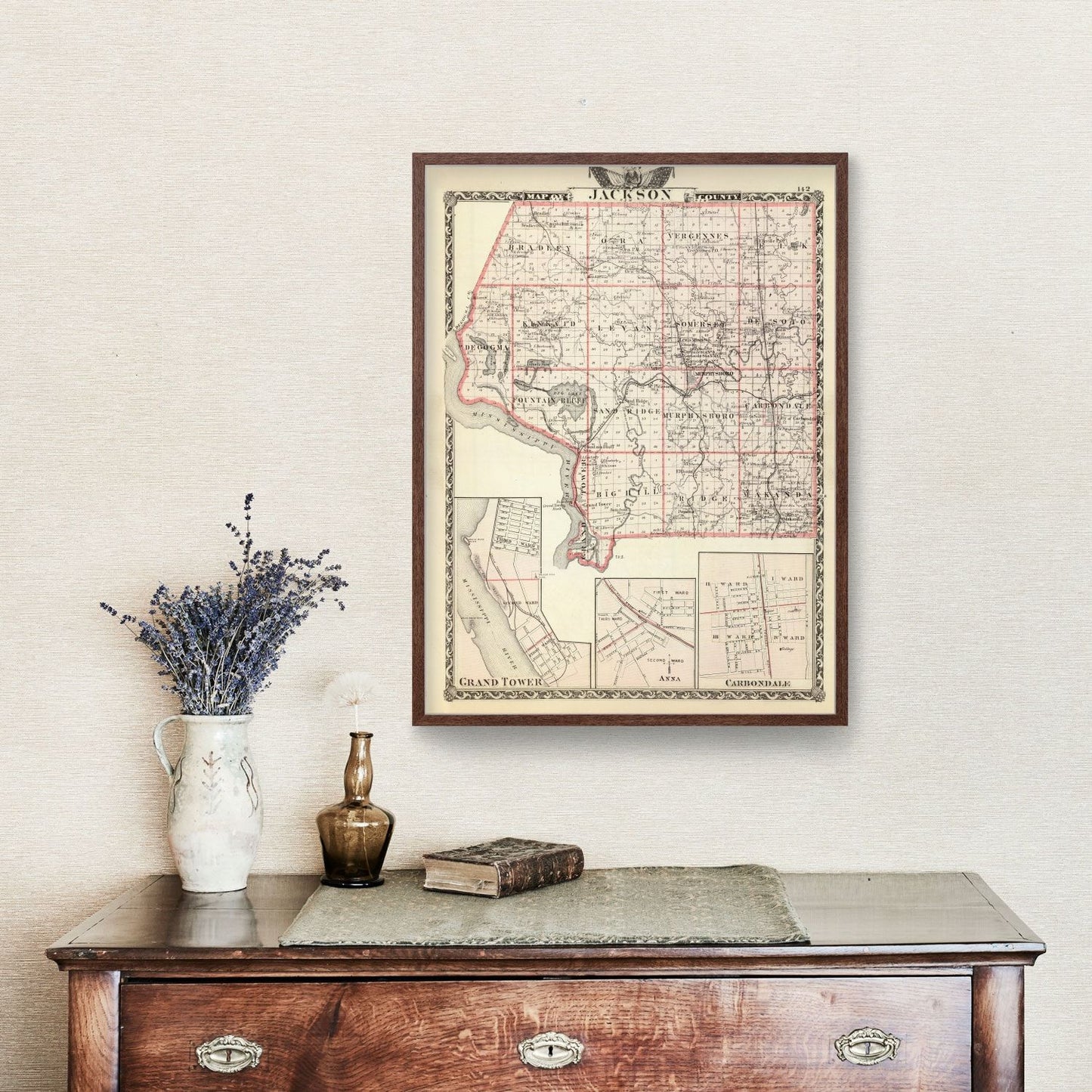 Vintage Map of Jackson County, Illinois, 1876