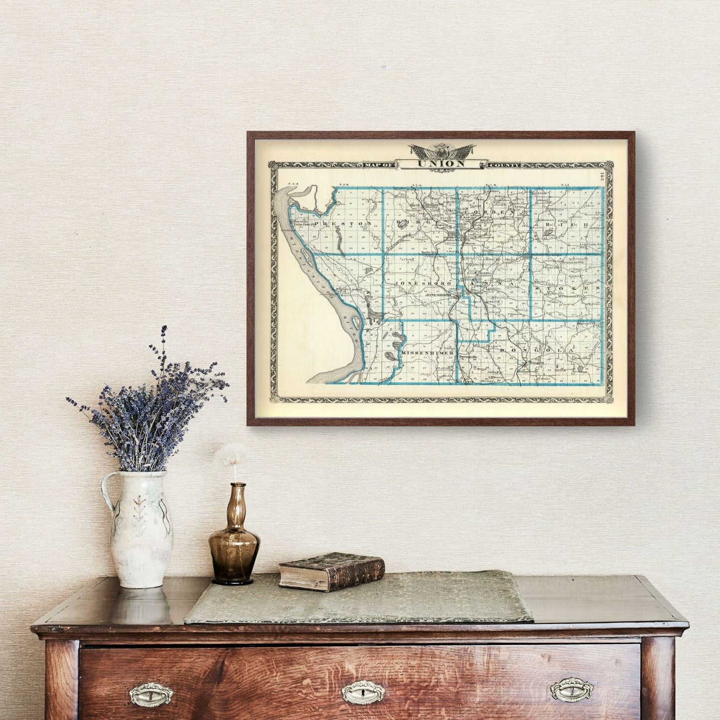 Vintage Map of Union County, Illinois, 1876