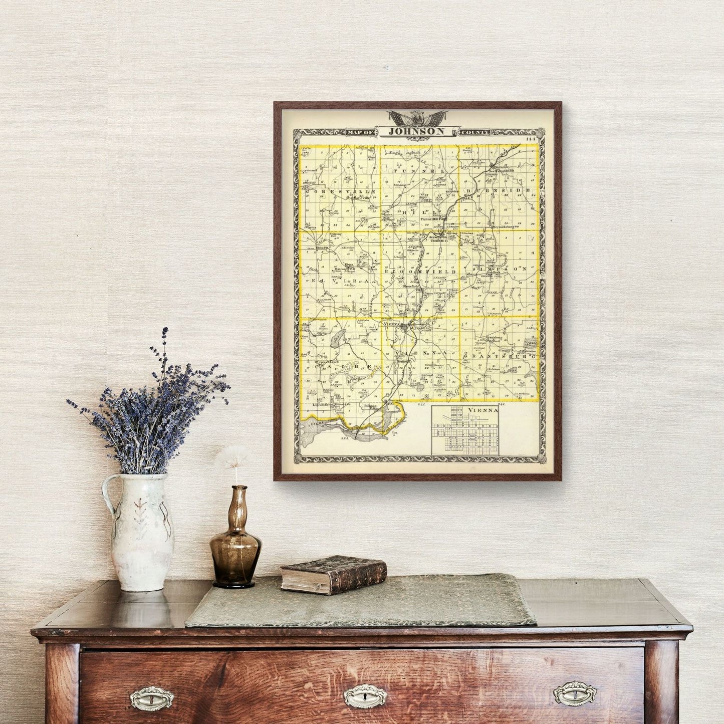 Vintage Map of Johnson County, Illinois, 1876