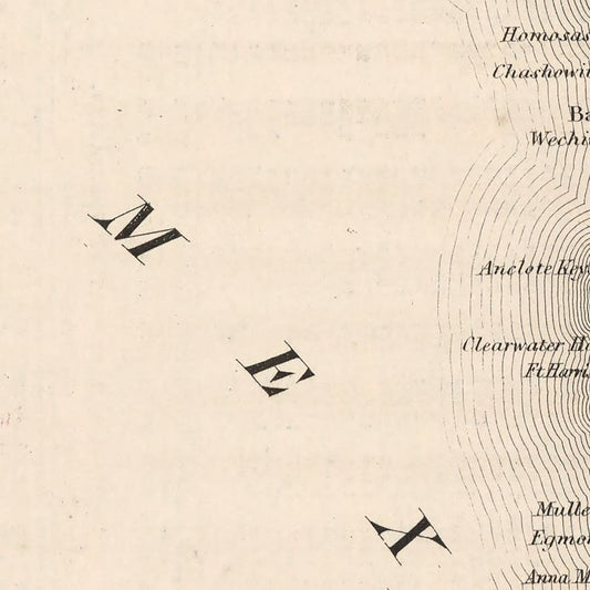Vintage Map of Florida, 1861