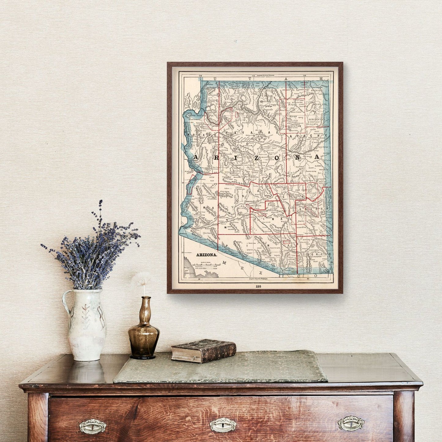 Vintage Map of Arizona, 1893