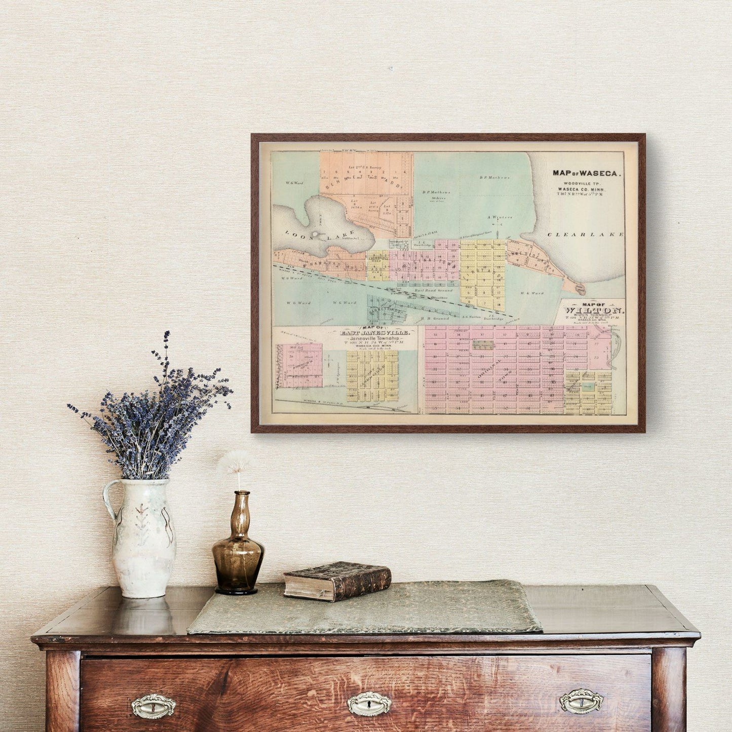 Vintage Map of Janesville, Waseca County, Minnesota, 1874