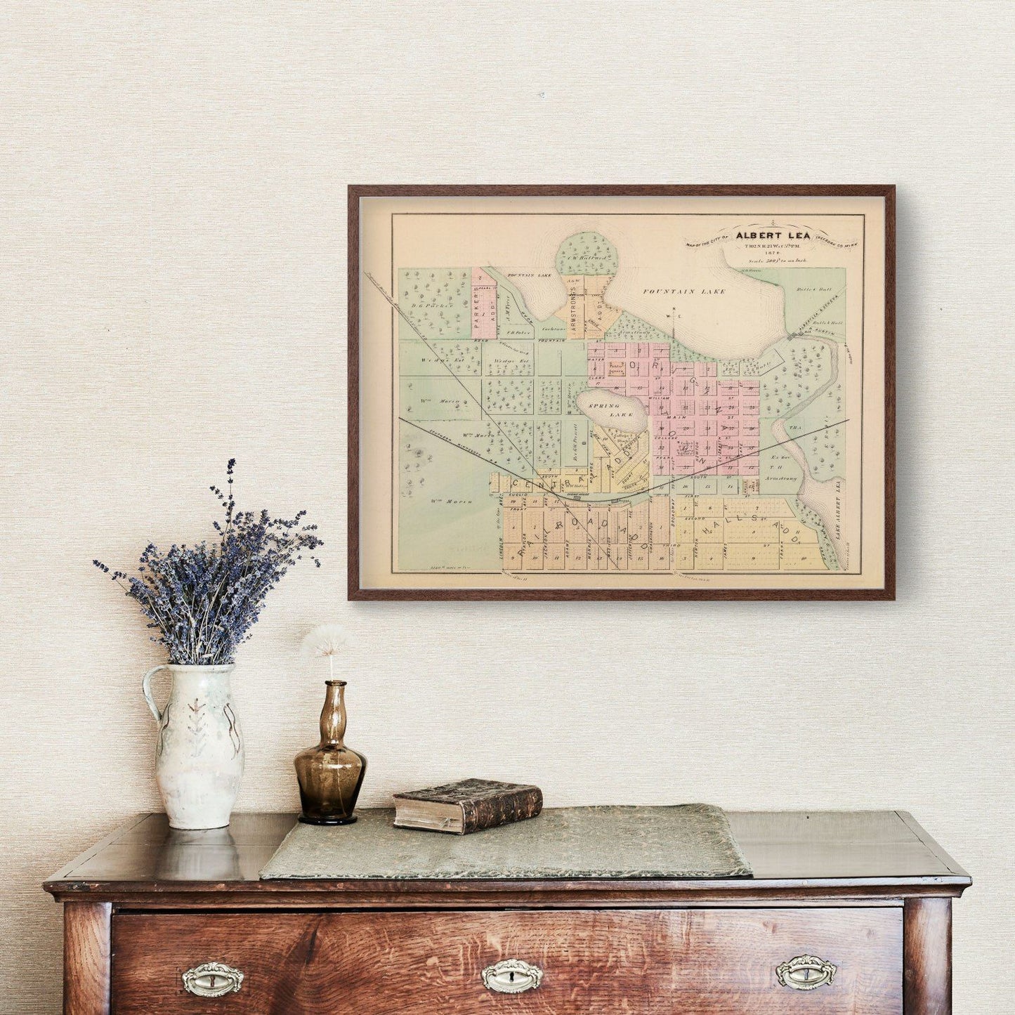 Vintage Map of Albert Lea, Minnesota, 1874