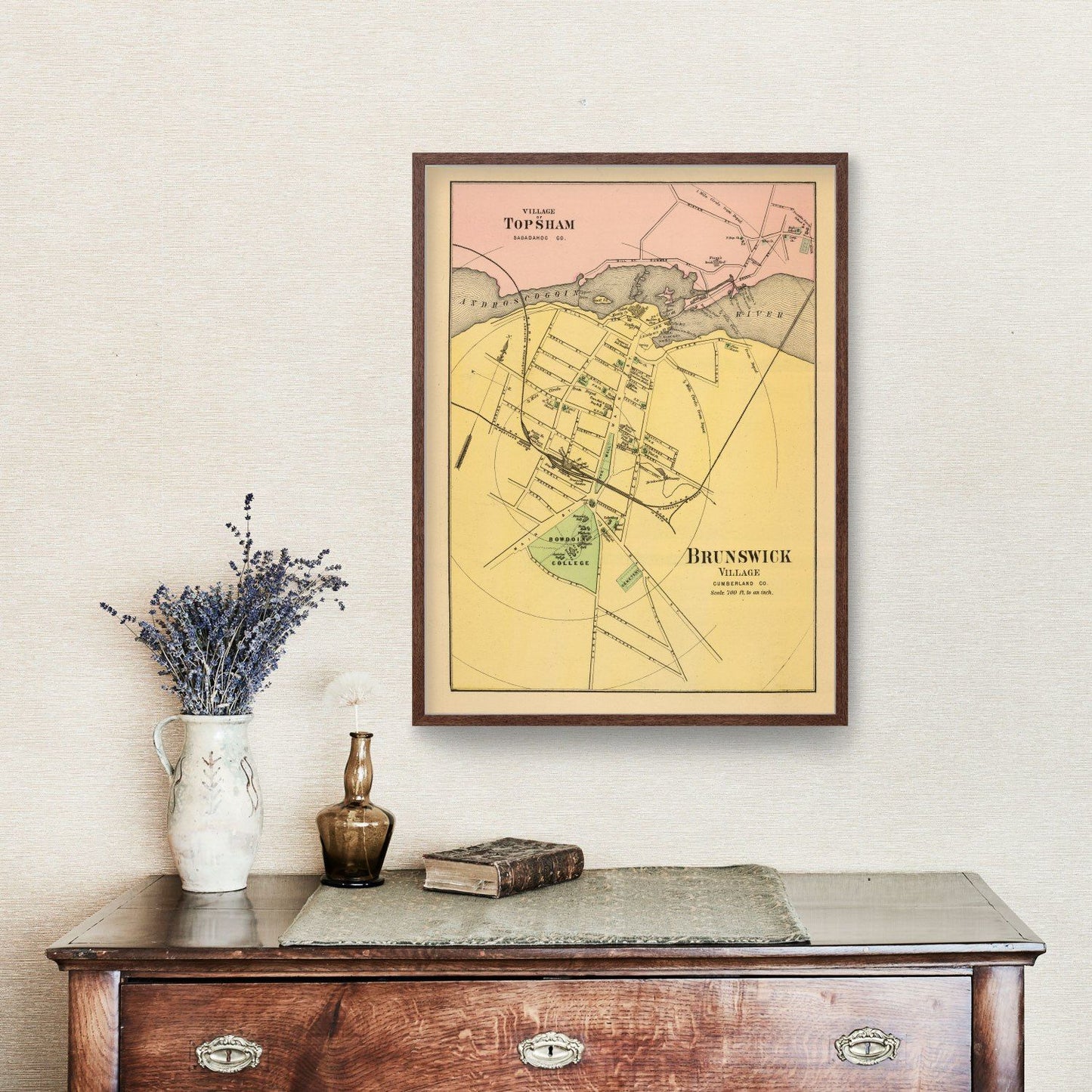Vintage Map of Brunswick, Maine, 1894