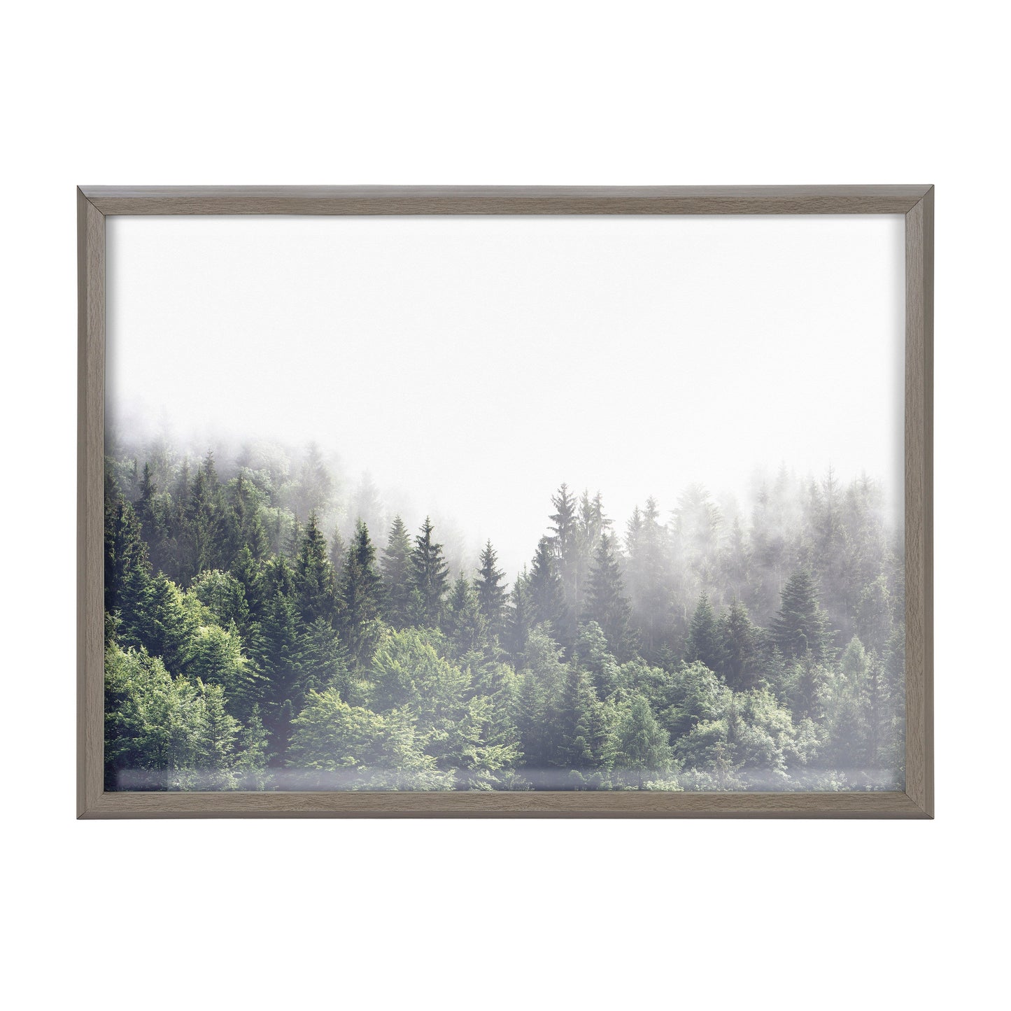 Lush Green Forest Foggy Day Framed Glass Wall Art