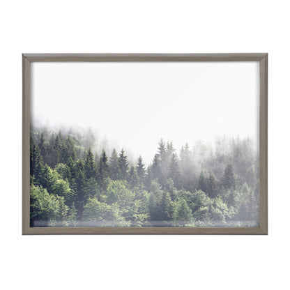 Lush Green Forest Foggy Day Framed Glass Wall Art