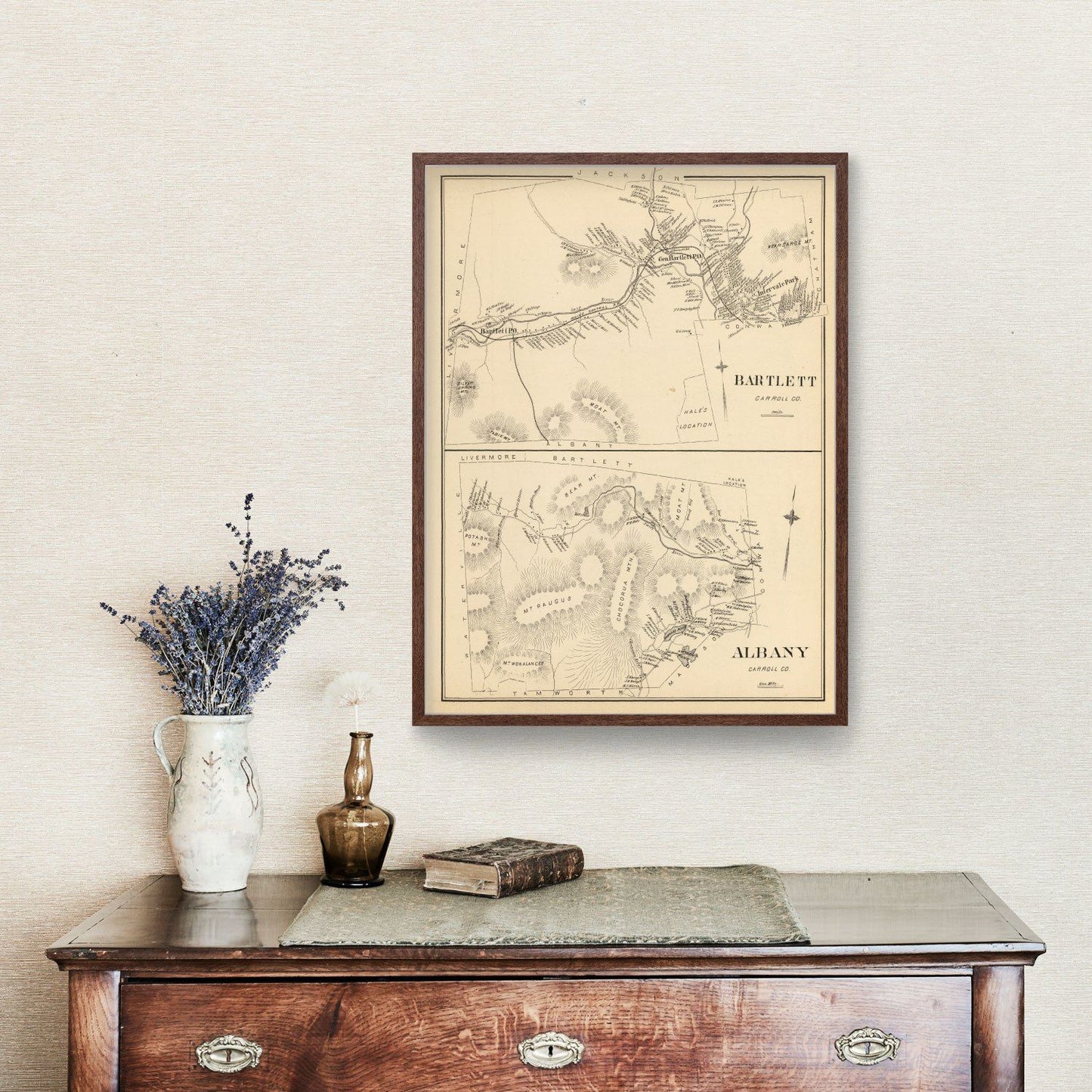 Vintage Map of Albany, New Hampshire, 1892