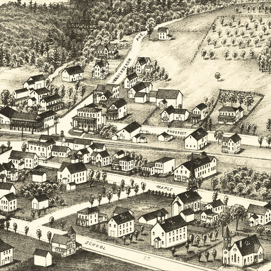 Vintage Map of Altamont, New York, 1890