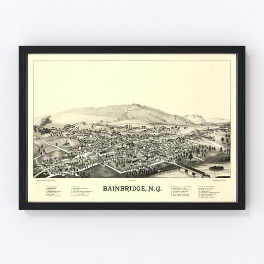 Vintage map of Bainbridge, New York Chenango River village, 1889