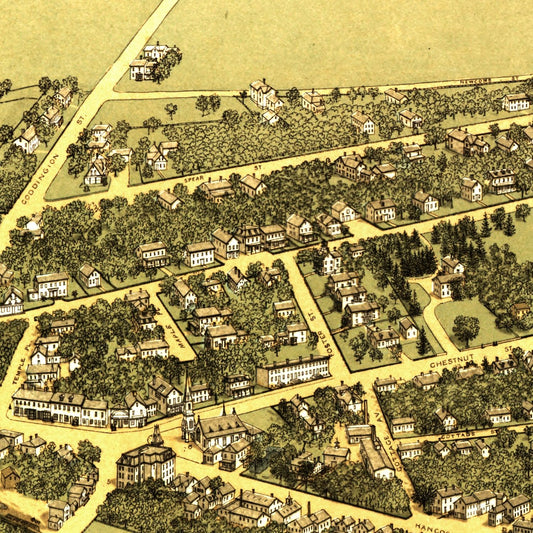 Vintage Map of Quincy, Massachusetts, 1878