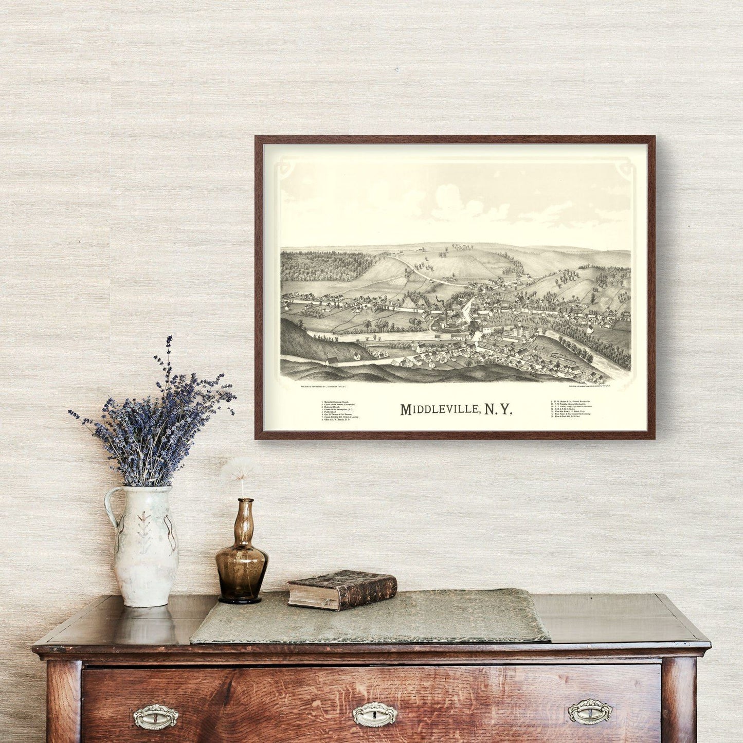 Vintage Map of Middleville, New York, 1890
