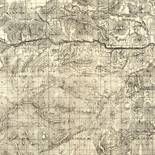 Vintage Map of Larimer County, Colorado, 1884 (Fort Collins)