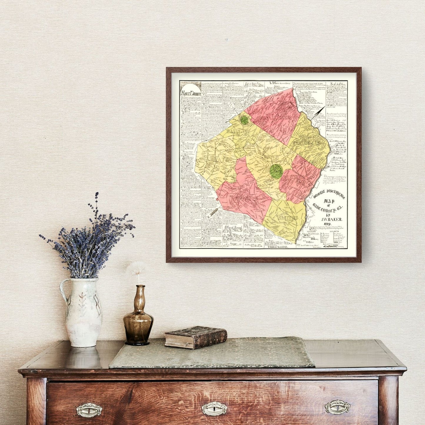 Vintage Map of Hart County, Georgia, 1889