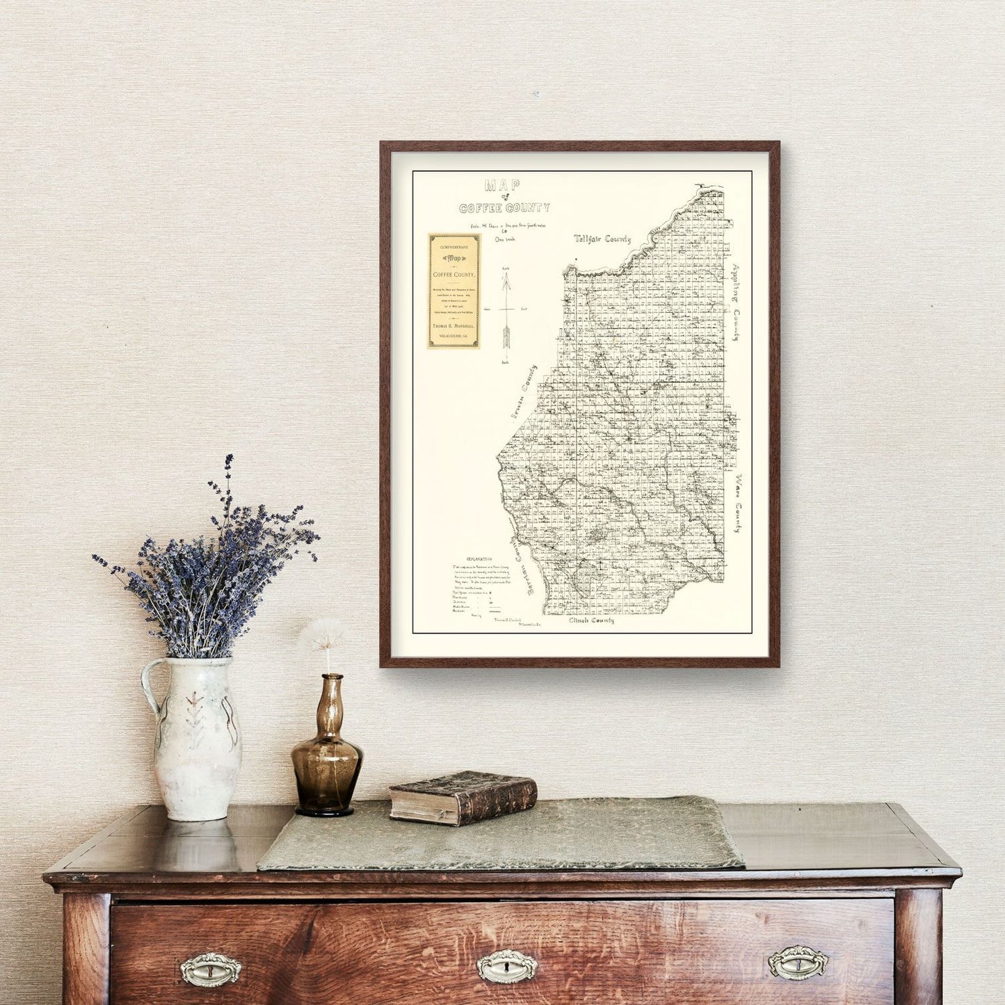 Vintage Map of Coffee County, Georgia, 1891