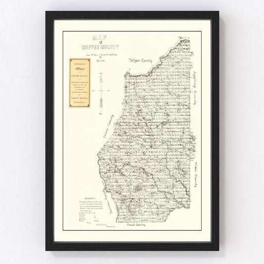 Vintage map of Coffee County, Georgia, 1891