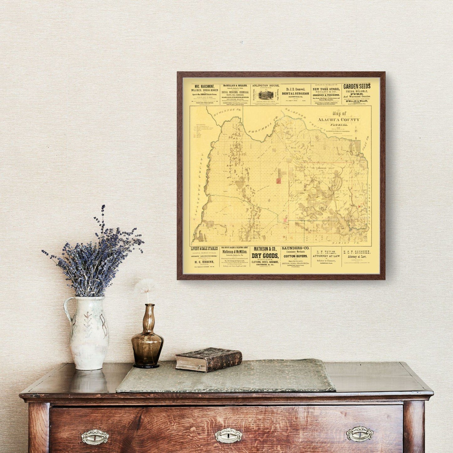 Vintage Map of Alachua County, Florida, 1880