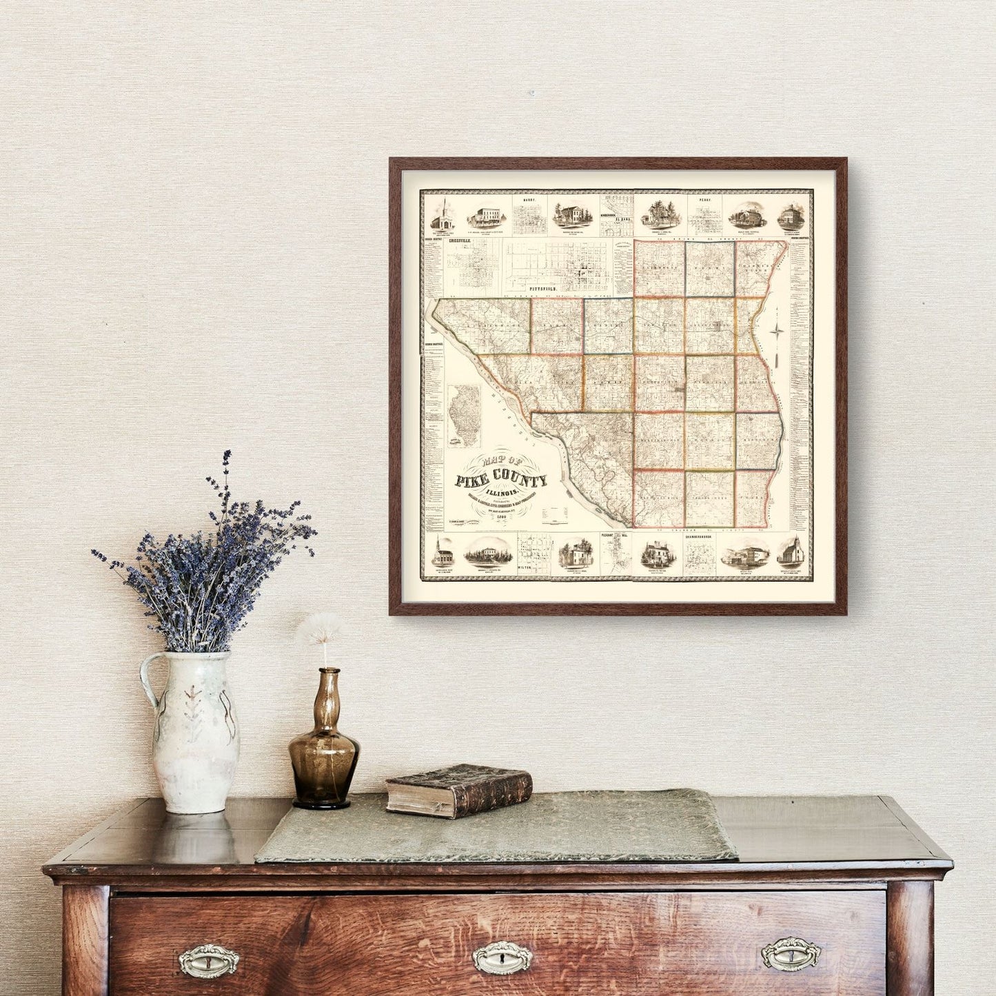 Vintage Map of Pike County, Illinois, 1860