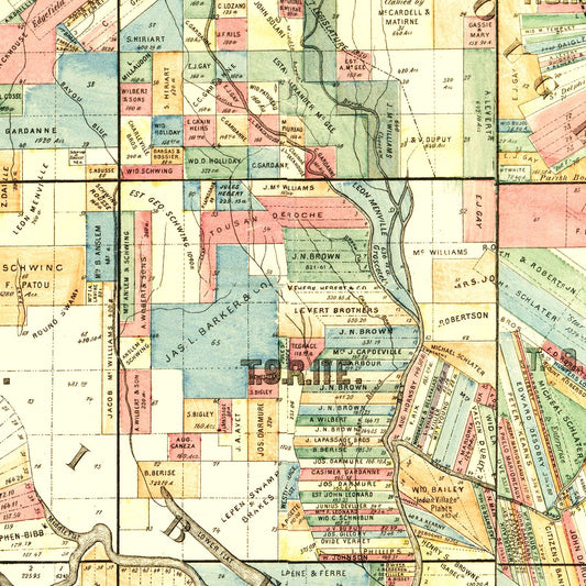 Vintage Map of Iberville Parish, Louisiana, 1883