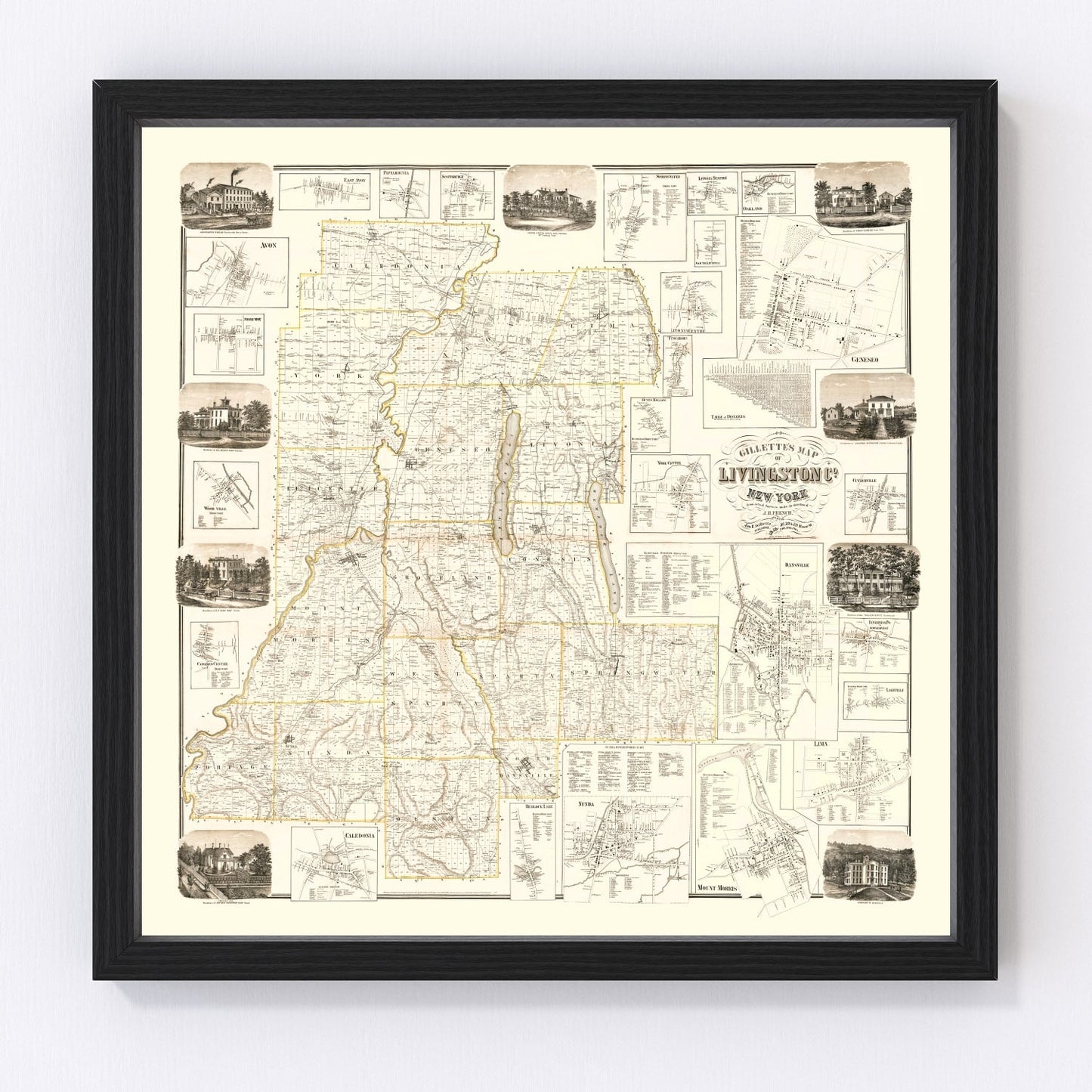 vintage map of Livingston County, New York, 1858