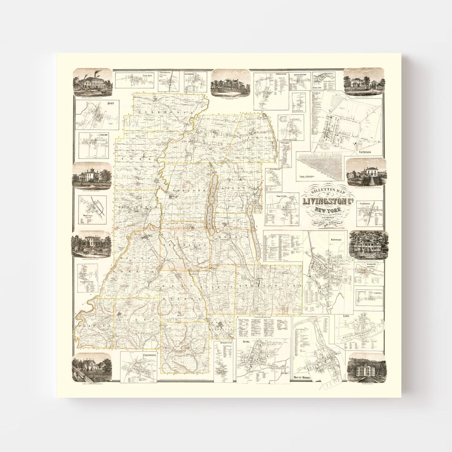 Vintage Map of Livingston County, New York, 1858