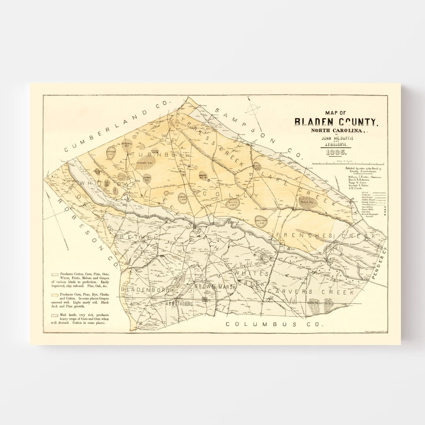 Vintage Map of Bladen County, North Carolina, 1885