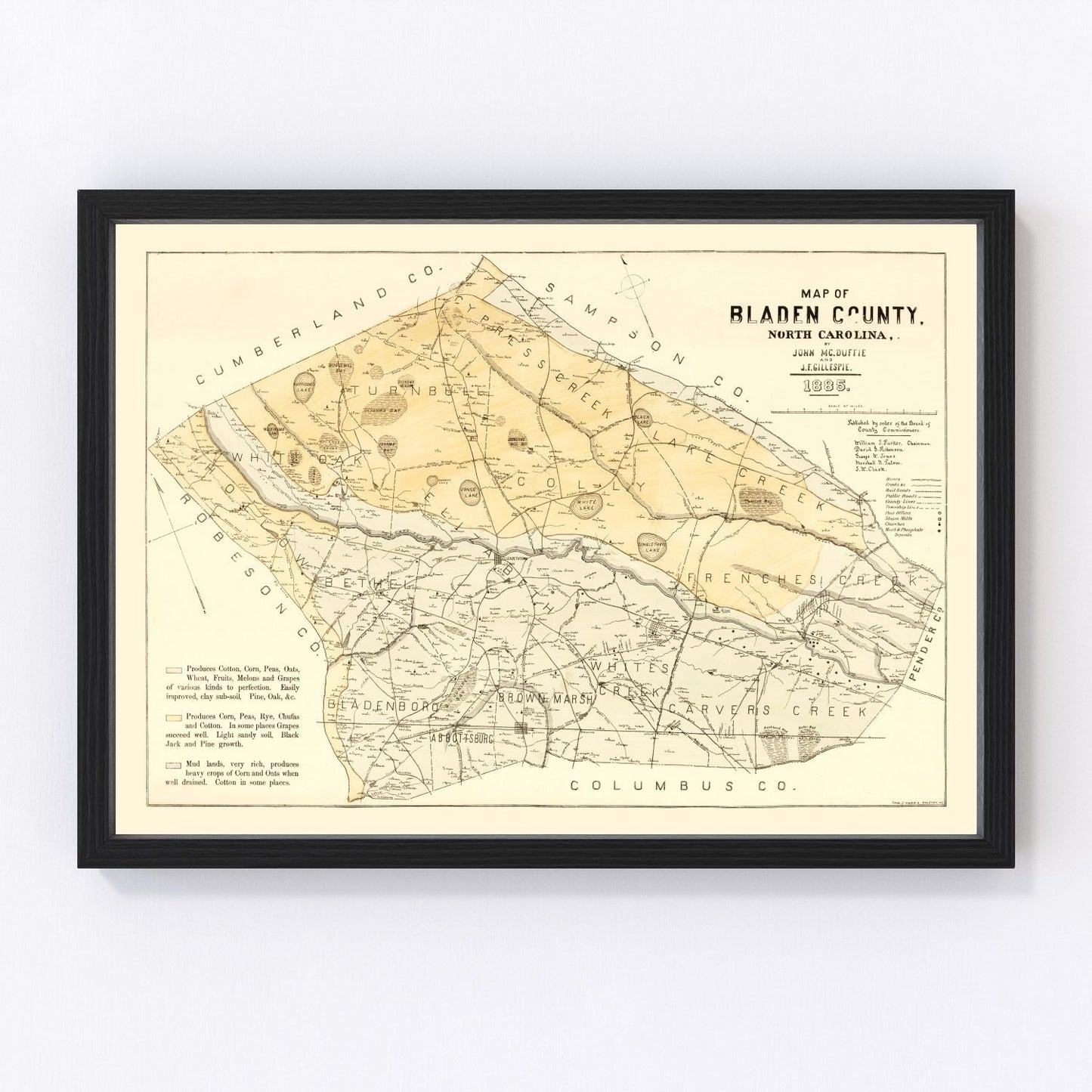 Vintage map of Bladen County, North Carolina, 1885