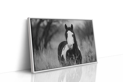 Wild Hearts Run Free Black and White Horse Wall Art