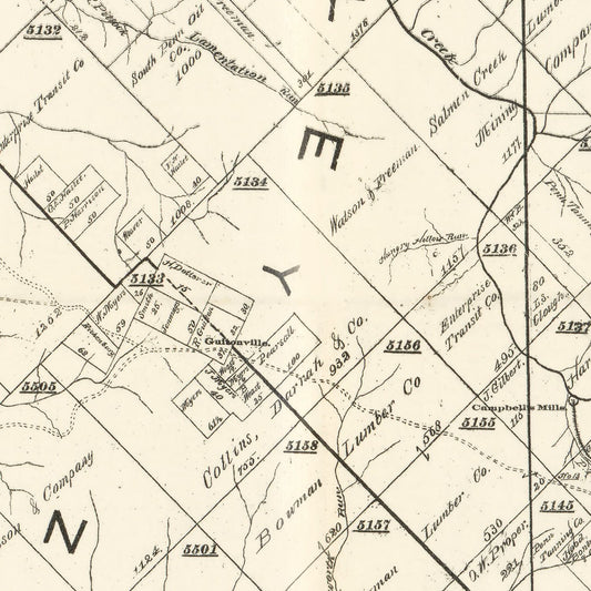 Vintage Map of Forest County, Pennsylvania, 1895