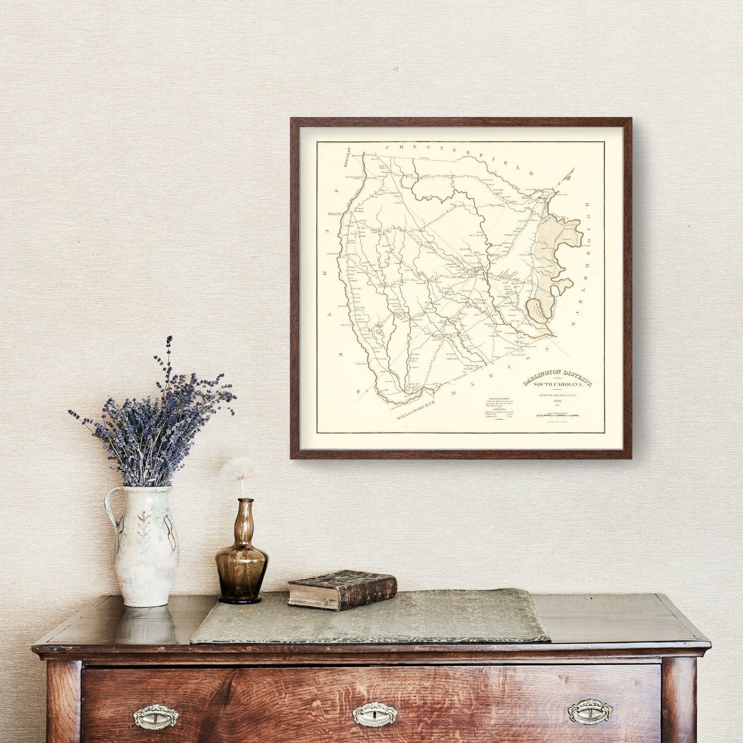Vintage Map of Darlington County, South Carolina, 1825