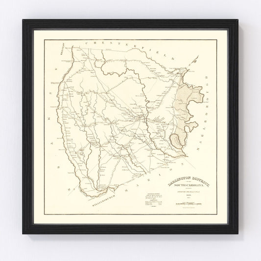 vintage map of Darlington County, South Carolina, 1825