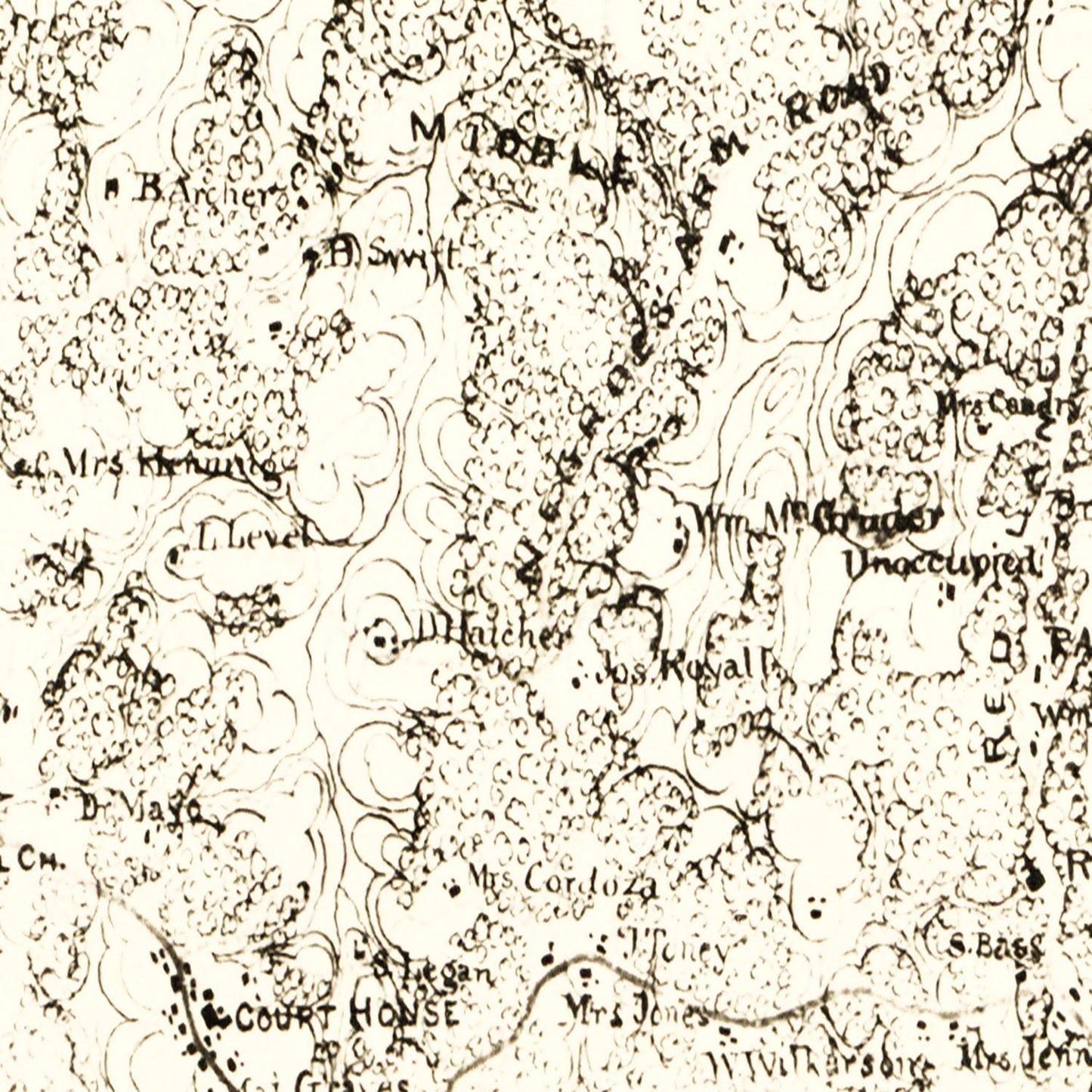 Vintage Map of Powhatan County, Virginia, 1864