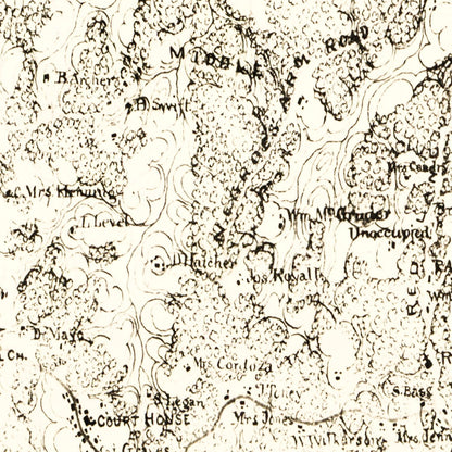 Vintage Map of Powhatan County, Virginia, 1864