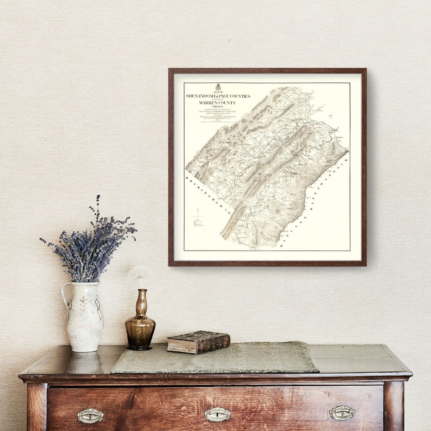 Vintage Map of Shenandoah & Page County, Virginia, 1875