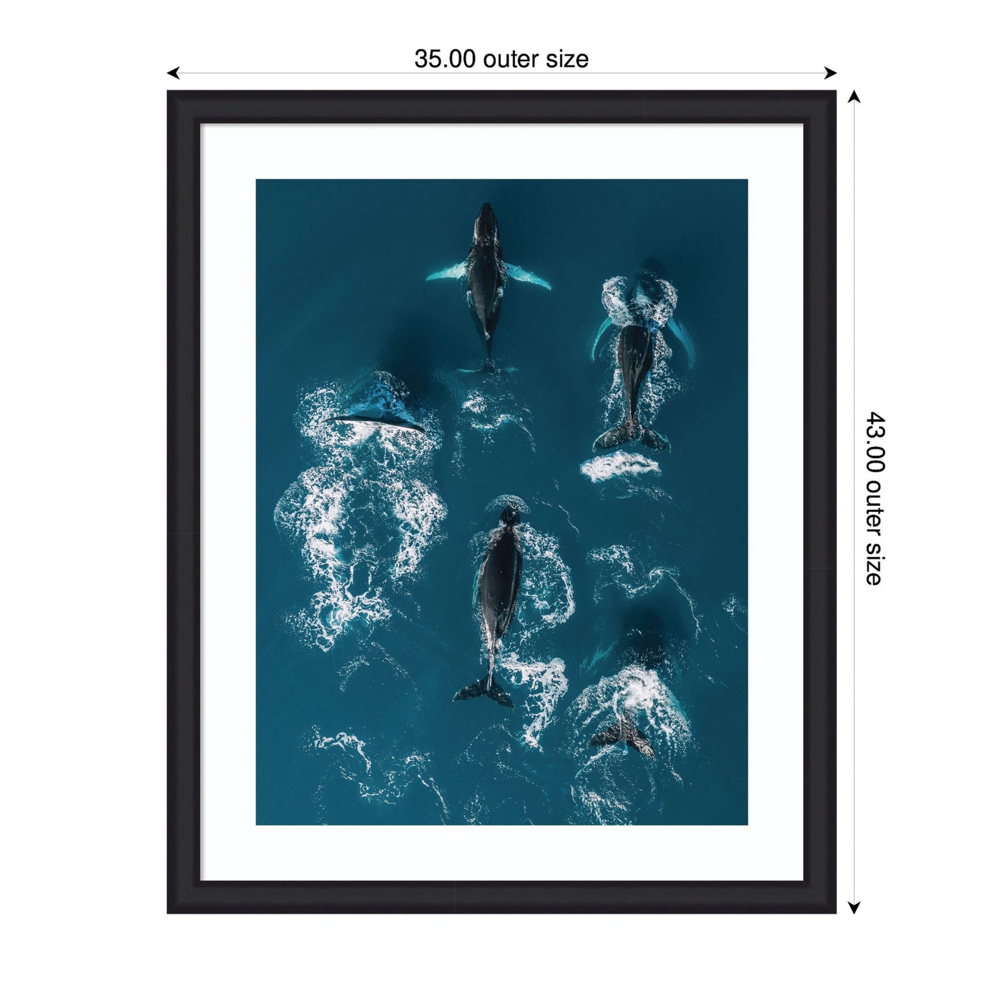 Framed Art School of Humpback Whales in the Blue Ocean by Michael Schauer