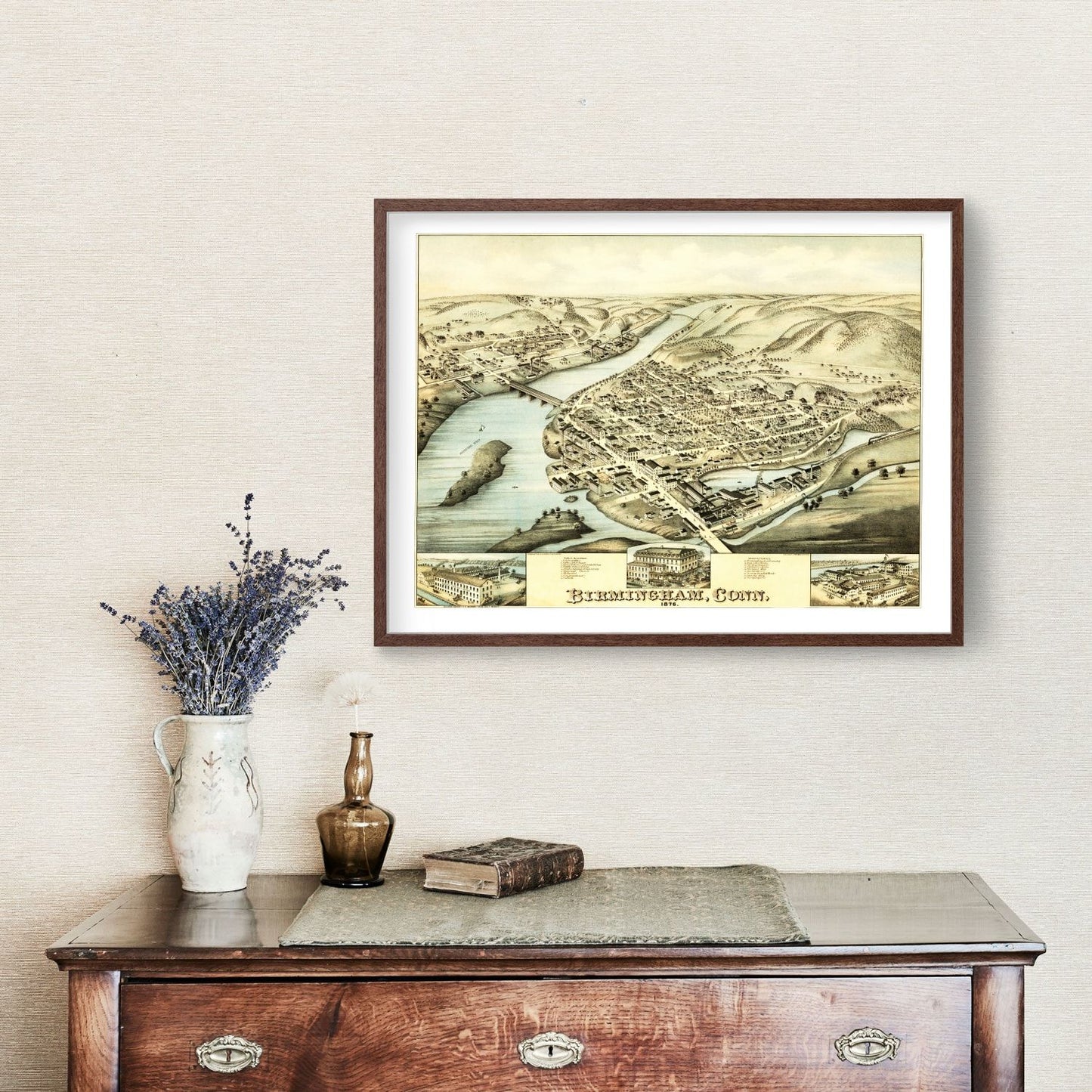 Vintage Map of Birmingham, Connecticut, 1876