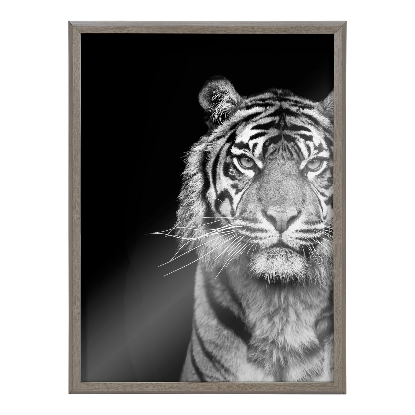 Minimalist Tiger Glass Wall Art