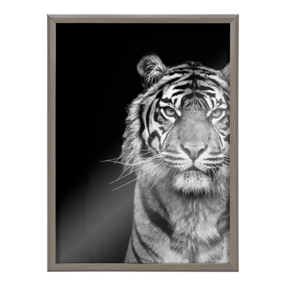 Minimalist Tiger Glass Wall Art