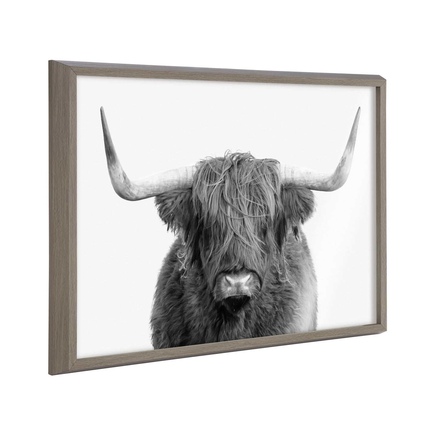 Highland Cow Portrait Framed Wall Art Print