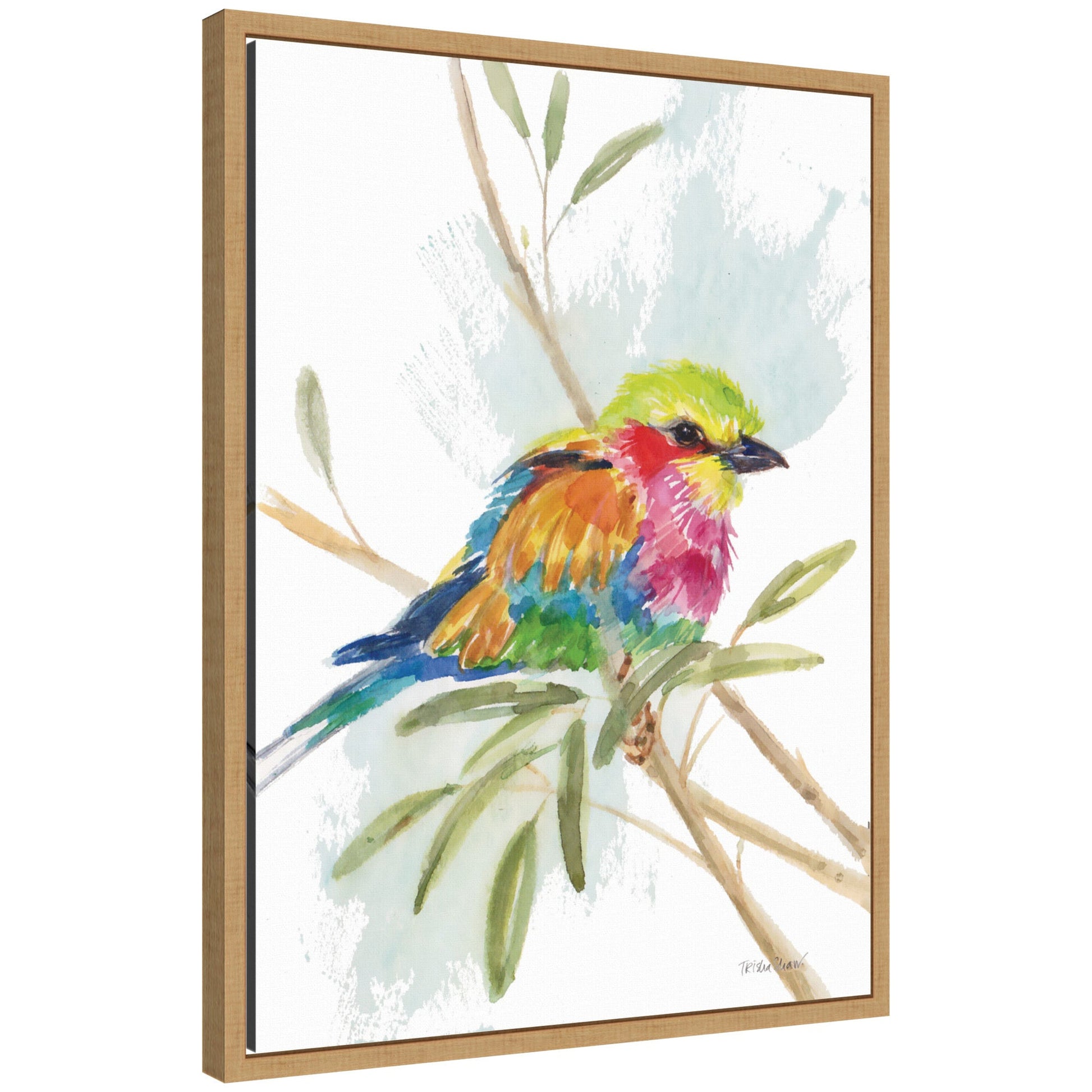 Bright Bird framed canvas wall art in bold painterly color