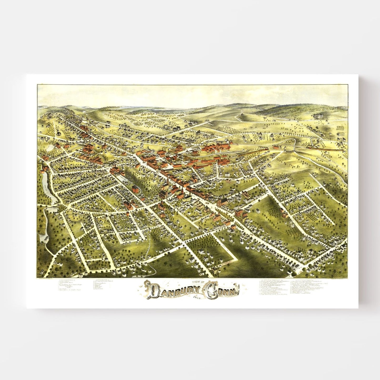 Vintage Map of Danbury, Connecticut, 1875