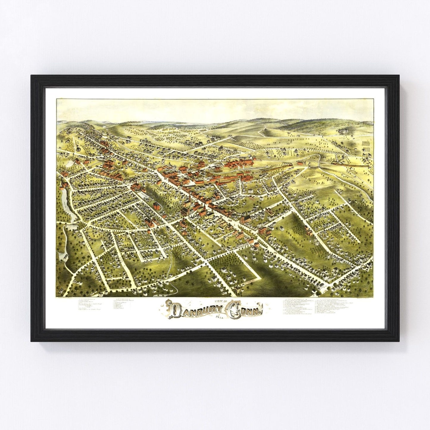 vintage map of Danbury, Connecticut, 1875