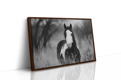 Wild Hearts Run Free Black and White Horse Wall Art