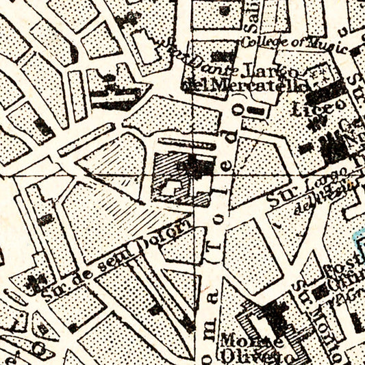 Vintage Map of Naples, Italy, 1893