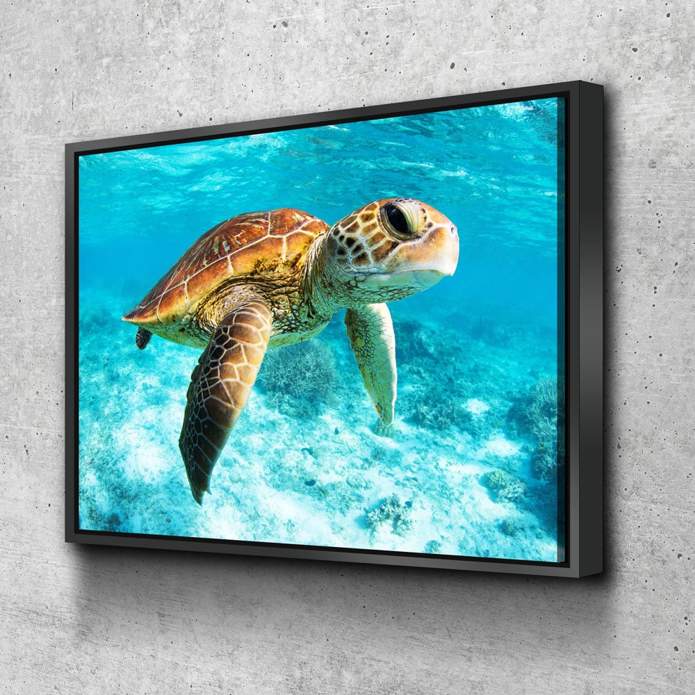 Sea turtle canvas wall art in a coastal bathroom