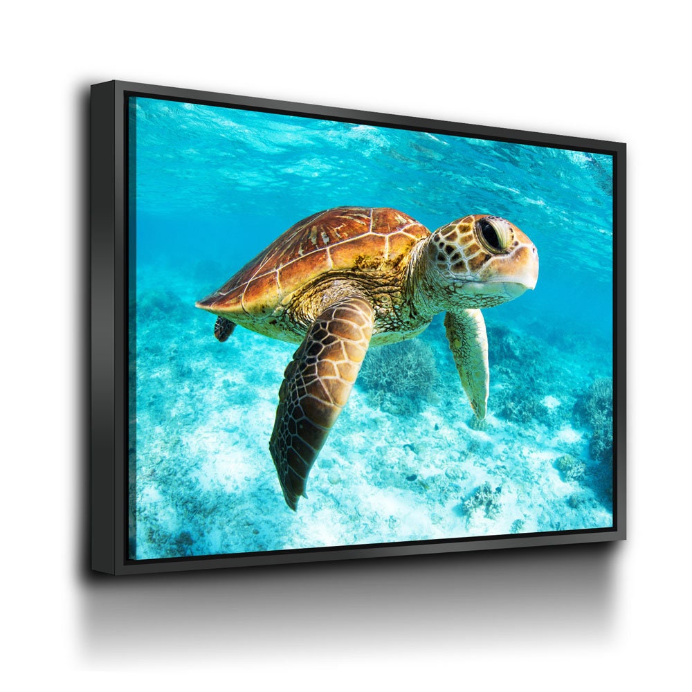 Underwater Sea Turtle Canvas Wall Art, Ocean Decor