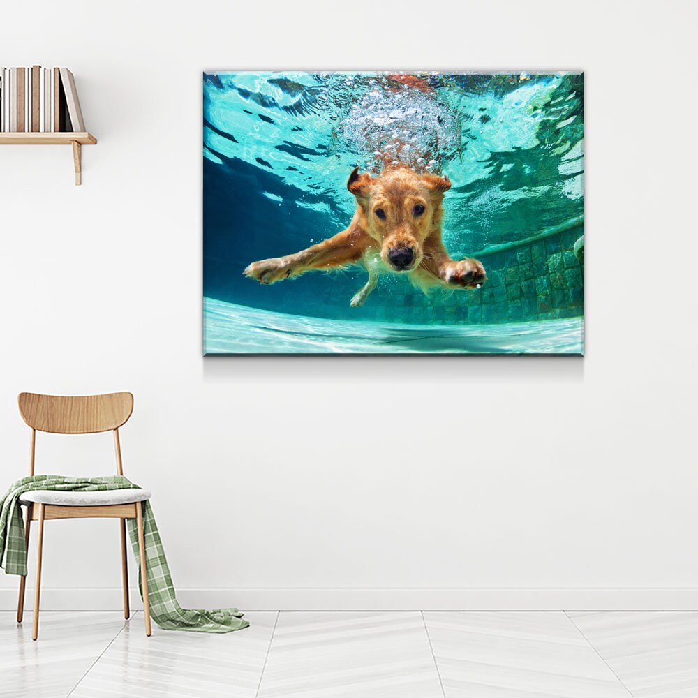 Golden Labrador Retriever Canvas Wall Art