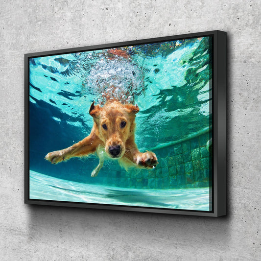 Golden Labrador Retriever diving underwater canvas art