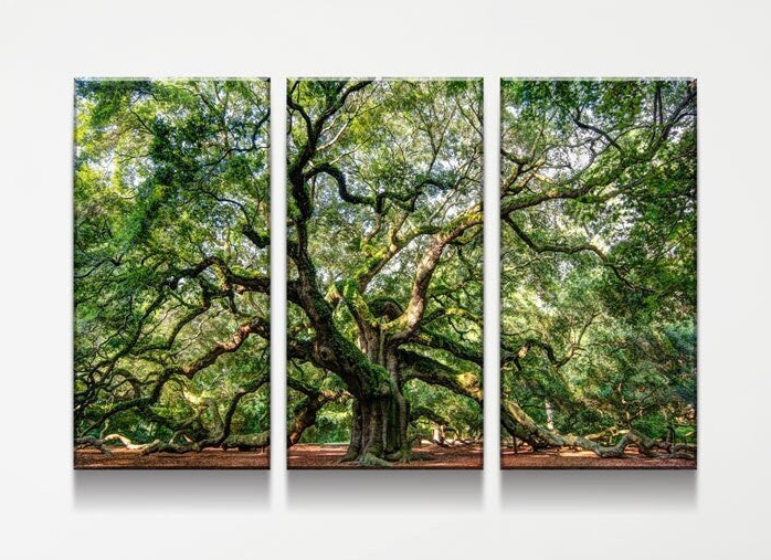 Angel Oak Tree 3-piece canvas wall art, Southern live oak gallery wrap set for living room decor